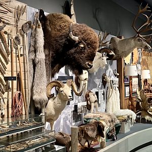 Alaskan Native tools and “Sportsman’s” display