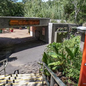 Aug. 2022 - Africa - Akiba Market + Zoo Entrance