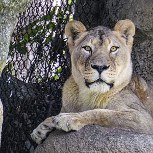 Aug. 2022 - Africa - Mekita