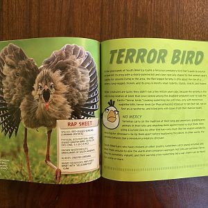 National Geographic Angry Birds—Red-legged Seriema