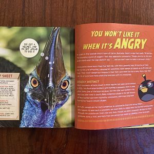 National Geographic Angry Birds—Southern Cassowary