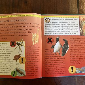 Endangered & Extinct Animals of the Islands & Oceans—Endangered and Extinct