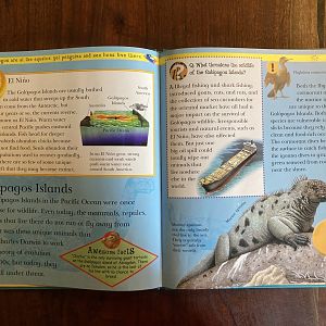 Endangered & Extinct Animals of the Islands & Oceans—Galápagos Islands