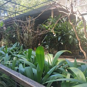 Wal-through aviaries