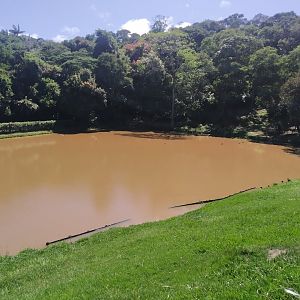 Tapir and waterfowl exhibit