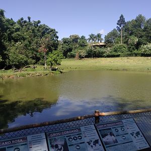 Waterbuck and jabiru exhibit