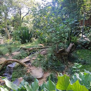 Maned wold Enclosure