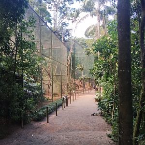 Raptors aviaries