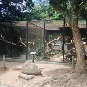 Tamandua enclosure