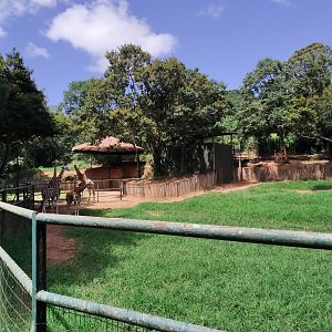 Giraffe enclosure