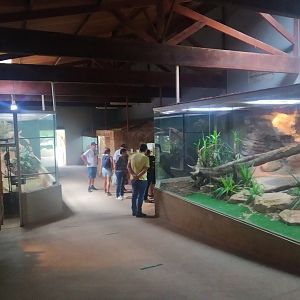 Vivarium