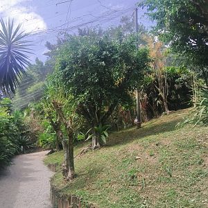 Larger walk-through aviary