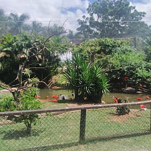 Larger walk-through aviary