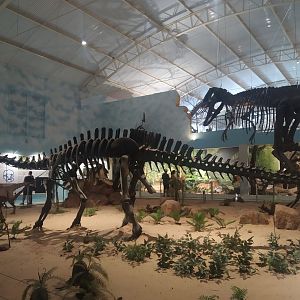 Natural Science Museum