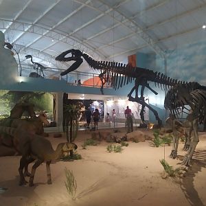 Natural Science Museum