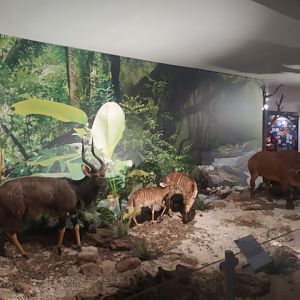 Natural Science Museum