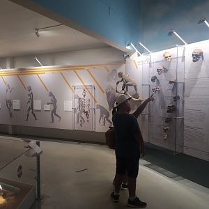 Natural Science Museum