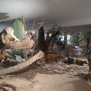 Natural Science Museum