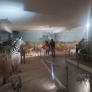 Natural Science Museum