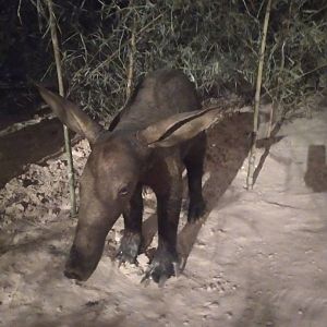 Natural Science Museum