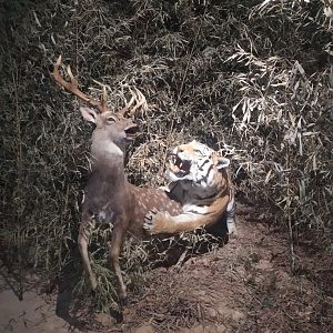 Natural Science Museum