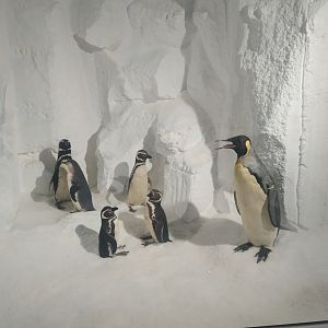 Natural Science Museum