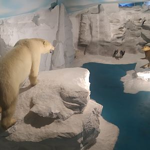 Natural Science Museum