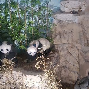 Natural Science Museum