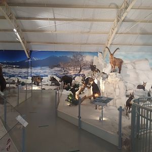 Natural Science Museum