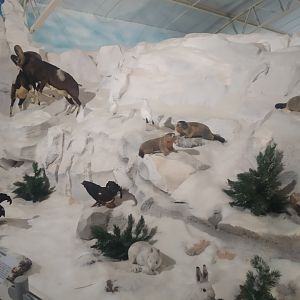 Natural Science Museum