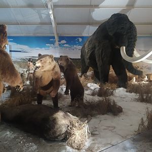 Natural Science Museum