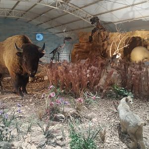 Natural Science Museum