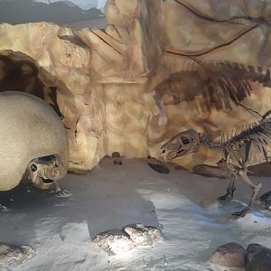 Natural Science Museum