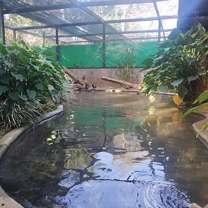 [Off-exhibit] - Breeding center for Brazilian merganser