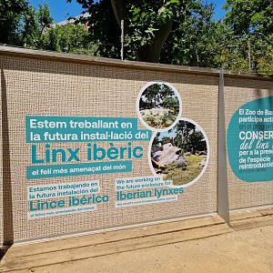 Iberian Lynx coming soon..