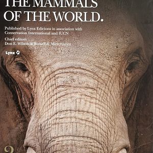 Handbook of the Mammals of the World - Vol 2 Hoofed Mammals