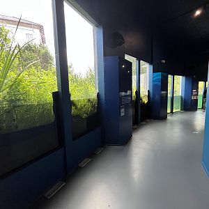 Danish Lakes Exhibit