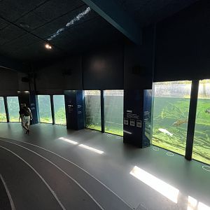 Danish Lakes Exhibit