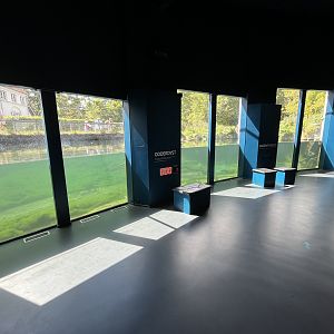 European Otter Exhibit