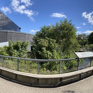 European Otter Exhibit