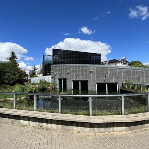 European Otter Exhibit