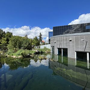European Otter Exhibit