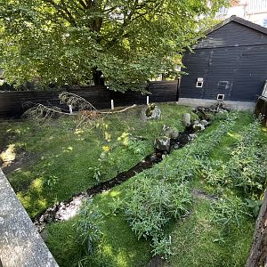 Coypu Exhibit (first half)