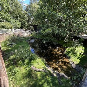 Coypu Exhibit (second half)