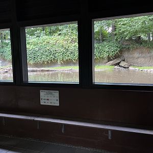 Beaver Exhibit