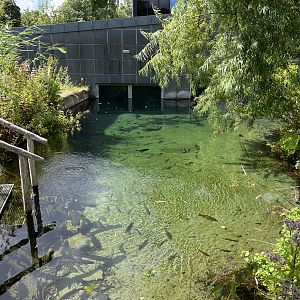 Danish Lakes Exhibit