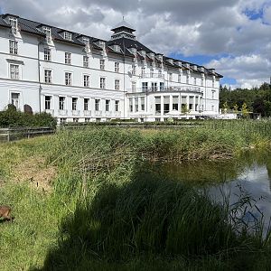 Reeves’s Muntjac/White Stork Exhibit