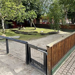 African Spurred Tortoise Exhibit