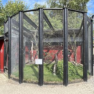 Burrowing Owl Aviary