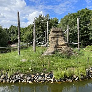 Squirrel Monkey Exhibit